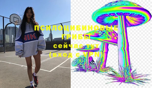 прущий лед Алзамай