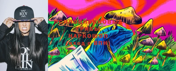 индика Киренск