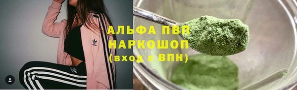 apvp Алексин