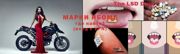 apvp Алексин