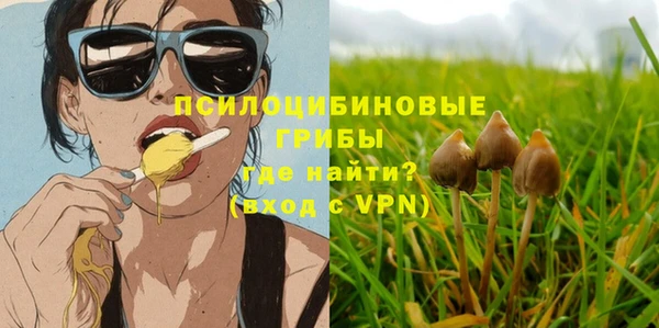 соль ск Киреевск