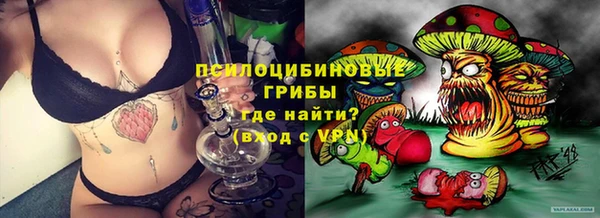 соль ск Киреевск