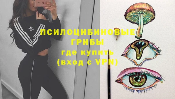 apvp Алексин