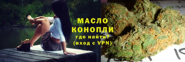 индика Киренск