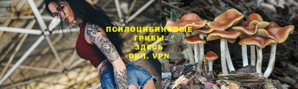 apvp Алексин