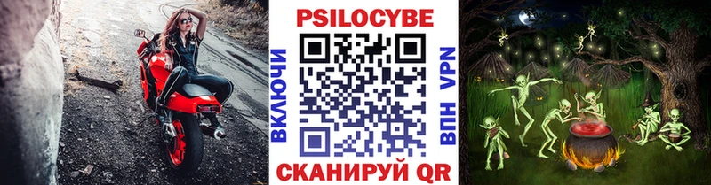 Галлюциногенные грибы Psilocybine cubensis  Дыгулыбгей 